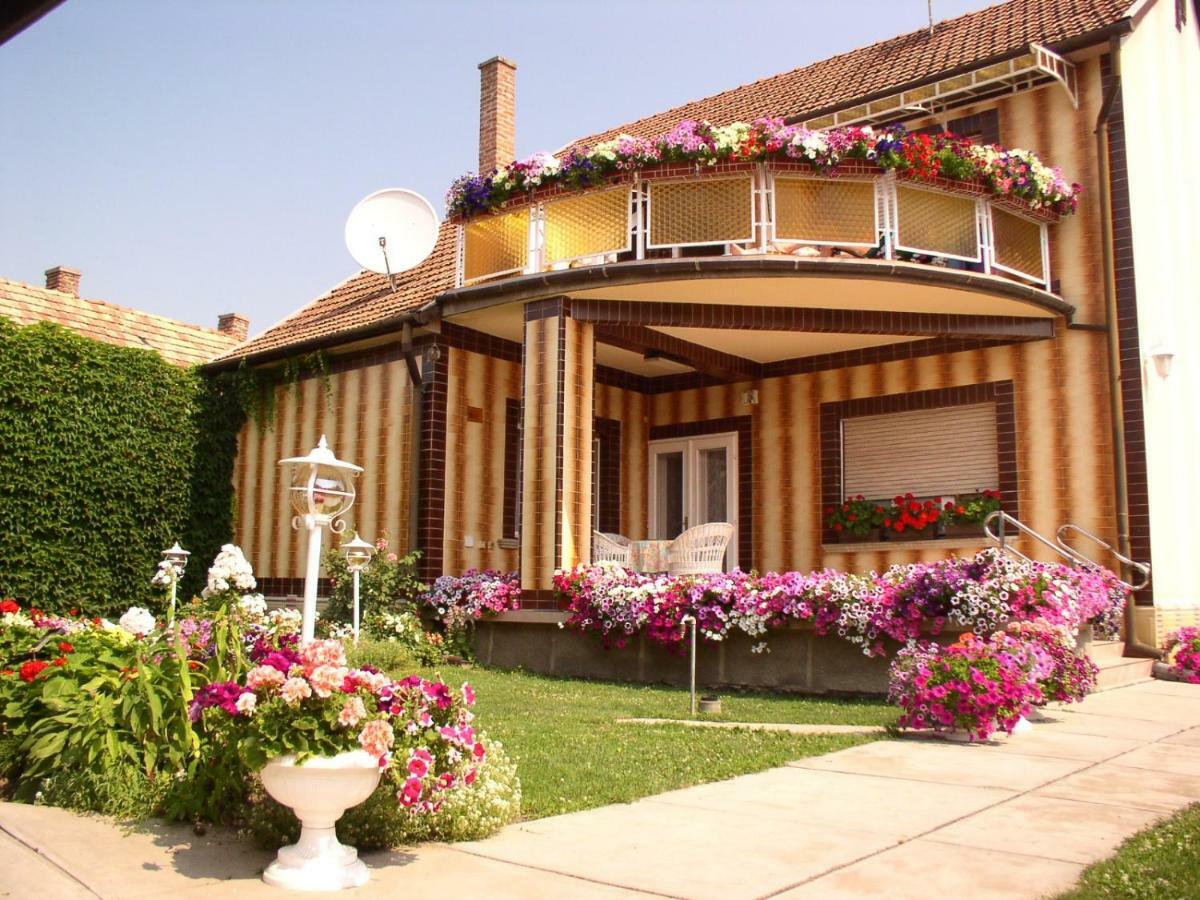 Amalia Apartman Дьюла Экстерьер фото