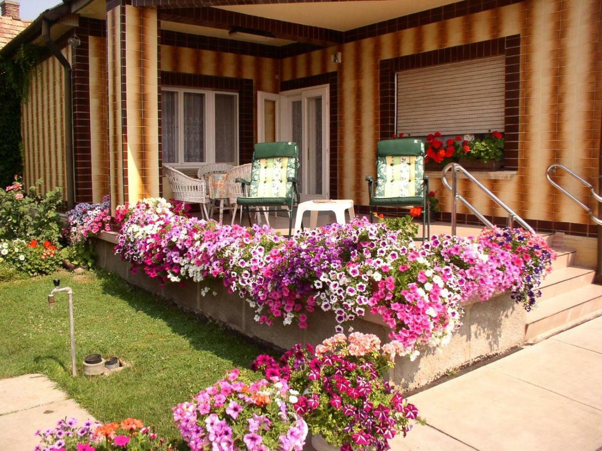 Amalia Apartman Дьюла Экстерьер фото