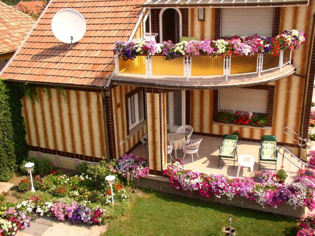 Amalia Apartman Дьюла Экстерьер фото